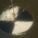 Water Quality Monitoring